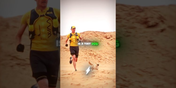 The Dog Wouldn’t Stop Chasing Him…😱🚨