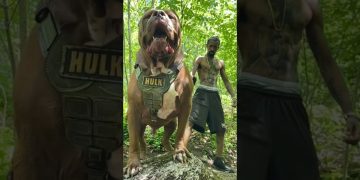 dangerous dog 🐶 in world 😱 #viral #video #dog